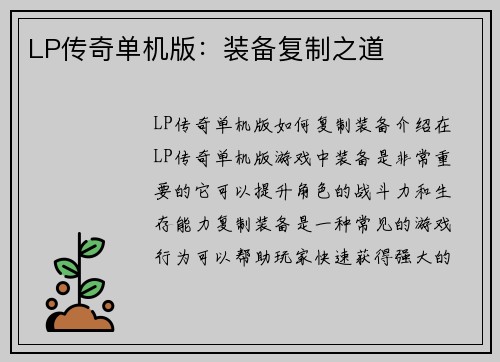 LP传奇单机版：装备复制之道